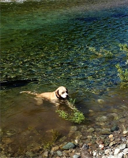 first river-swim joy