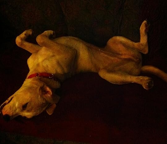 there is goodness ...