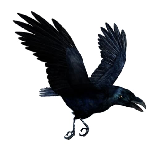 Raven-Flying-416770