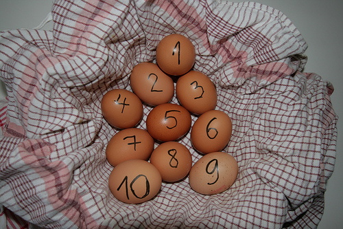 4160020296_559752002d