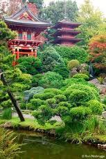 japanesetea