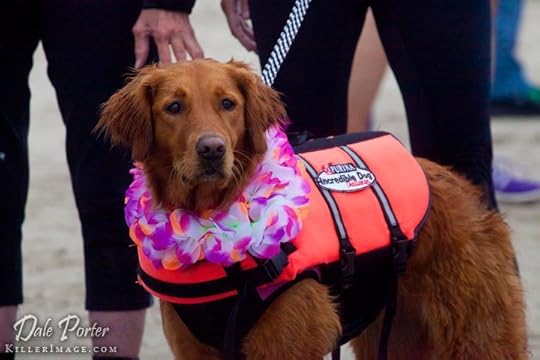 Click to visit the original post