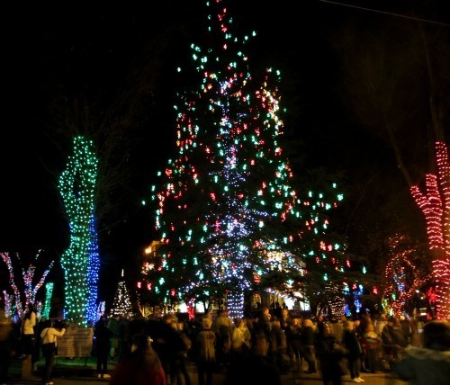 Lighted Plaza 2 - Carol Cox