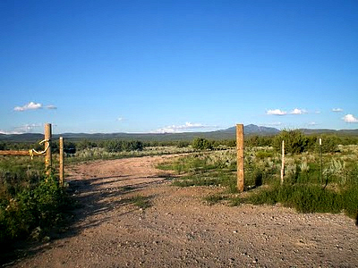 Home on the Range - Road - Carol Cox