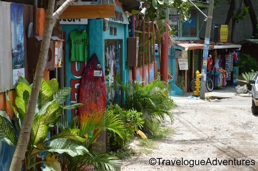 Tamarinfo Surf Shop Picture