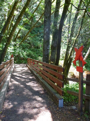 Jane Huber S Blog Page 10