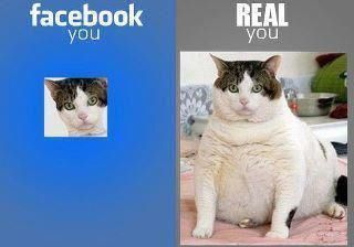 We don't all see the same things on Facebook or in the world.