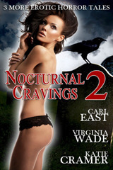Nocturnal Cravings 2 by Virginia Wade