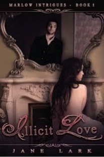 book illicit love