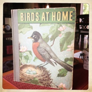 birdsathome