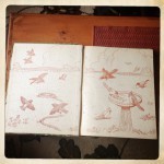 endpapers