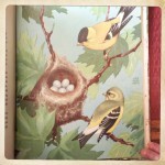 goldfinches