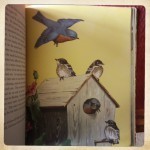 blue bird home