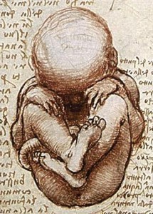 Foetus_in_the_Womb_detail