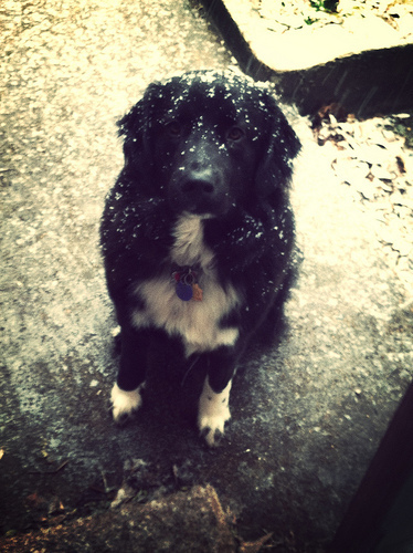Snow day for Greyson!