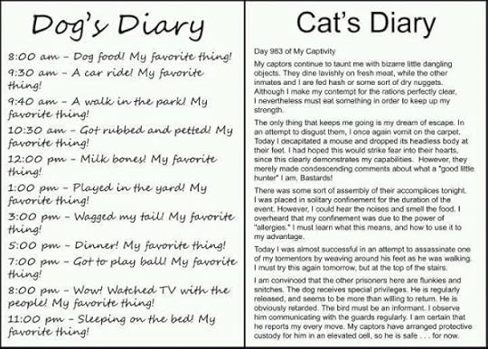 dog & cat diary