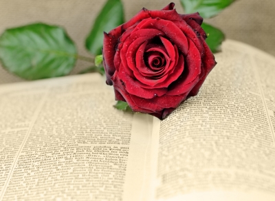 BookRose