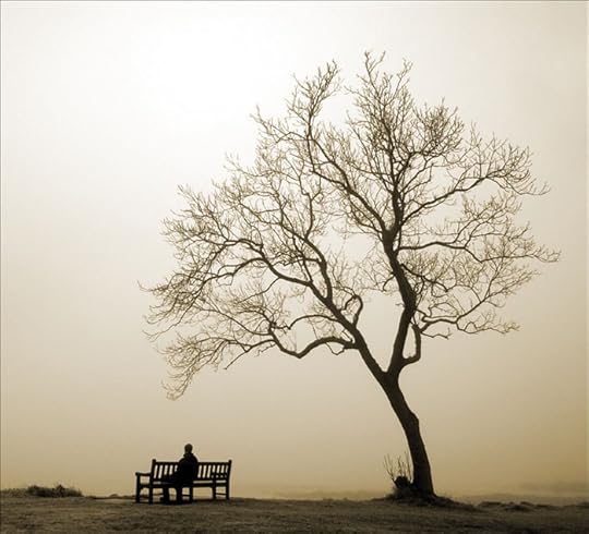 Picture Memoir by Valimar @ deviantart.com