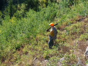 Jim Parry hunts a beautiful ridgeline in search of grouse. 