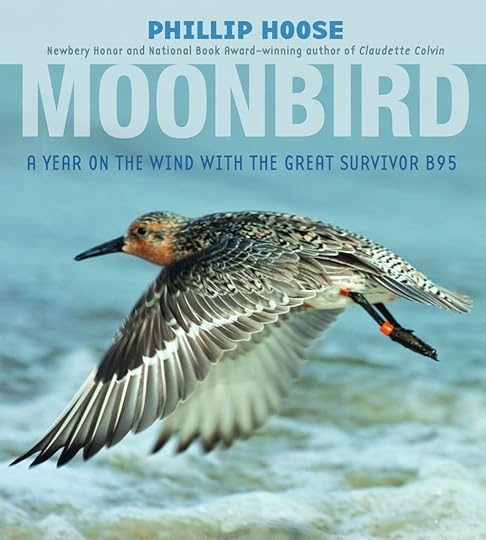 moonbird-jkt