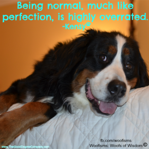 beingnormal DSC1194 290x290 Woofisms: Woofs of Wisdom© funny dog blog