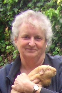 Jemima Pett Author
