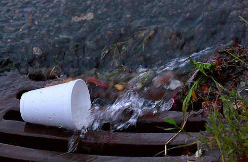 No More Styrofoam