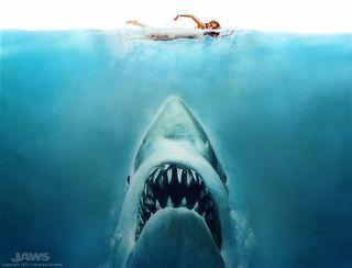 Jaws-jaws-468738_1024_782