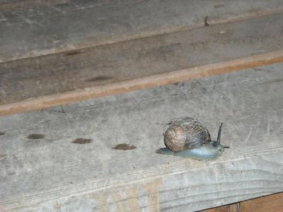 DSCN3519.jpg