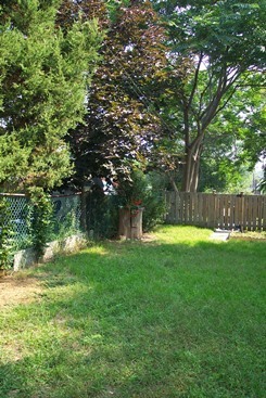 Partial view from my office window