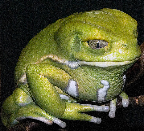 Photo credit: e_monk (Flickr)