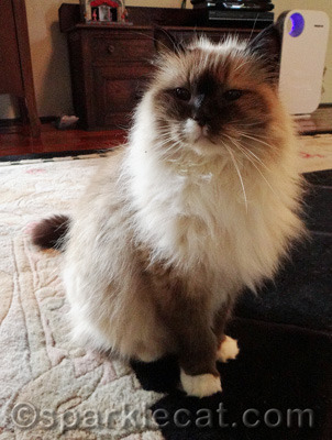 Like Queen Victoria, she is not amused.