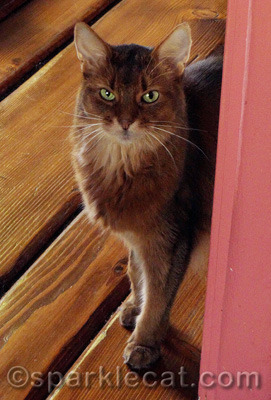 Yes, I am looking at you. And judging