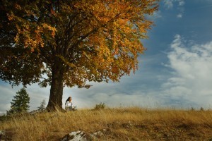Quiet, solitude, meditation