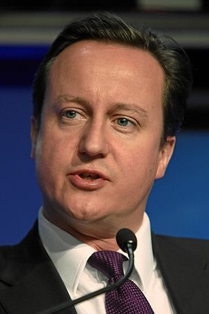 English: DAVOS/SWITZERLAND, 29JAN10 - David Ca...