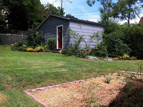 Backyard Jungle: After