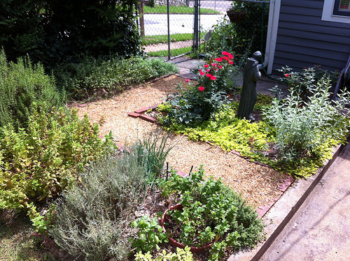 Herb Garden: After