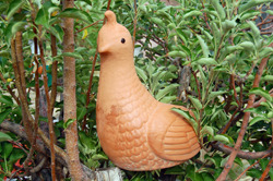 Quail in an Apple Tree