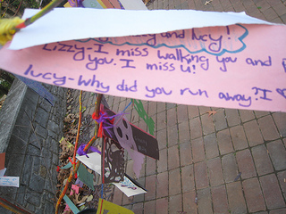 day of the dead slip