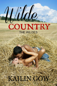 Wilde Country (The Wildes #1)