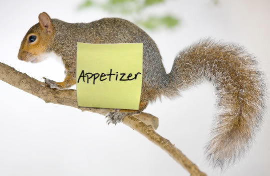 squirrel appetizer