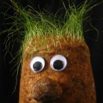 Check Your Hair, Make Sure Your Mic Is On