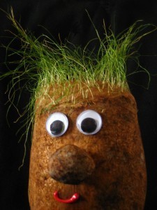 Check Your Hair, Make Sure Your Mic Is On