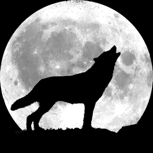 wolf-howling-full-moon