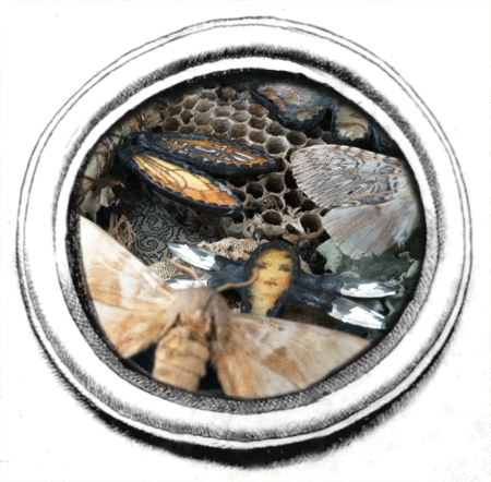 _Frame_DeadBug_Round5_DragonflySmallReal