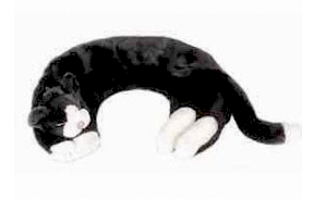 1_cat
