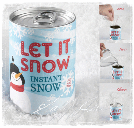 1_snowcan