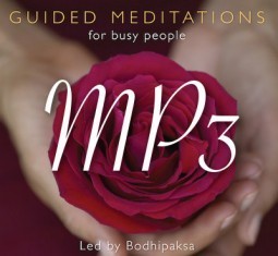 If you like our articles and want to support the work we do, please click here to check out our books, guided meditation CDs, and MP3s. Or you can make a donation.