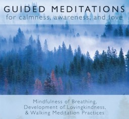 bodhipaksa guided meditation CD