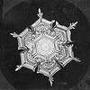 Snowflake Study by Smithsonian Institution